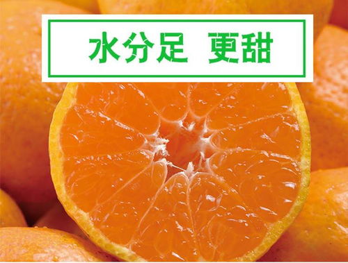 应季橘子水果批发新鲜桔子水果皮薄南丰蜜桔小红橘子非金桔沙糖桔