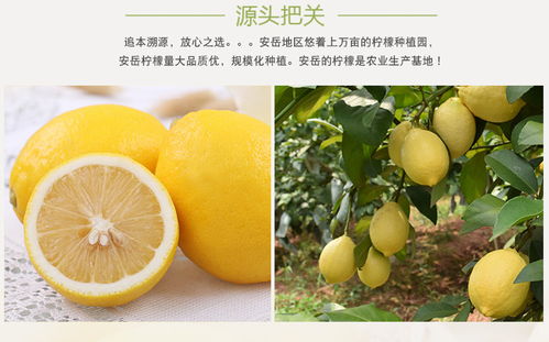 新鲜安岳柠檬30个装当季水果应季免邮包邮一级皮薄小青香水鲜柠檬